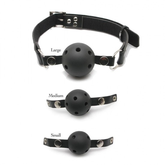 Pipedream Fetish Fantasy Series Ball Gag Training System