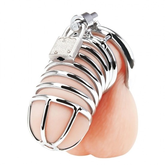 Master Male Chastity Blueline Metal Penis Kilidi 50 mm