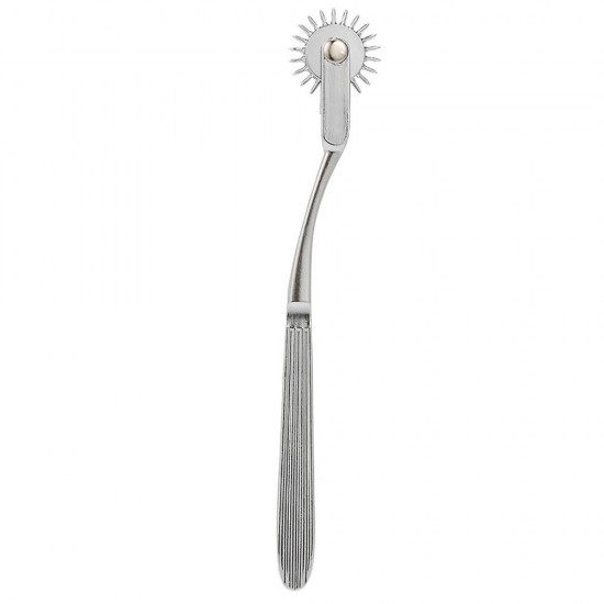 Stainless Wartenberg Metal Tekerlekli Fırıldak