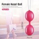 Pelvic Flesi Flexible Kegel Top-Pembe